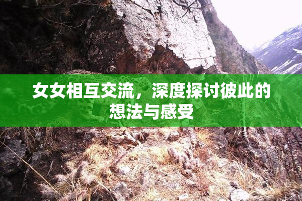 女女相互交流，深度探讨彼此的想法与感受