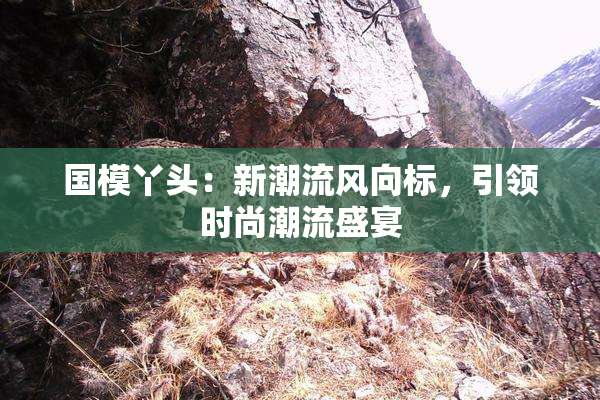 国模丫头：新潮流风向标，引领时尚潮流盛宴
