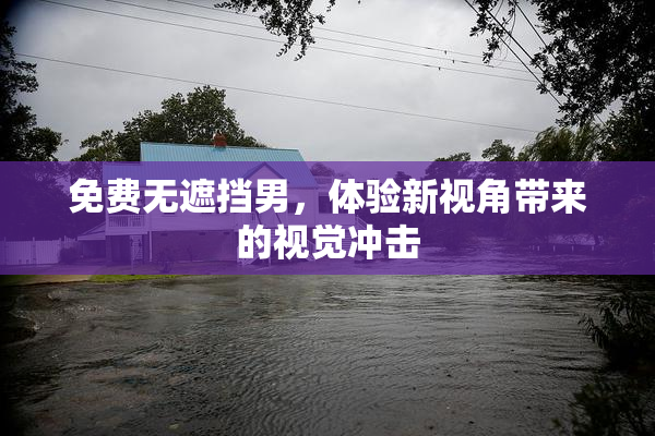 免费无遮挡男，体验新视角带来的视觉冲击