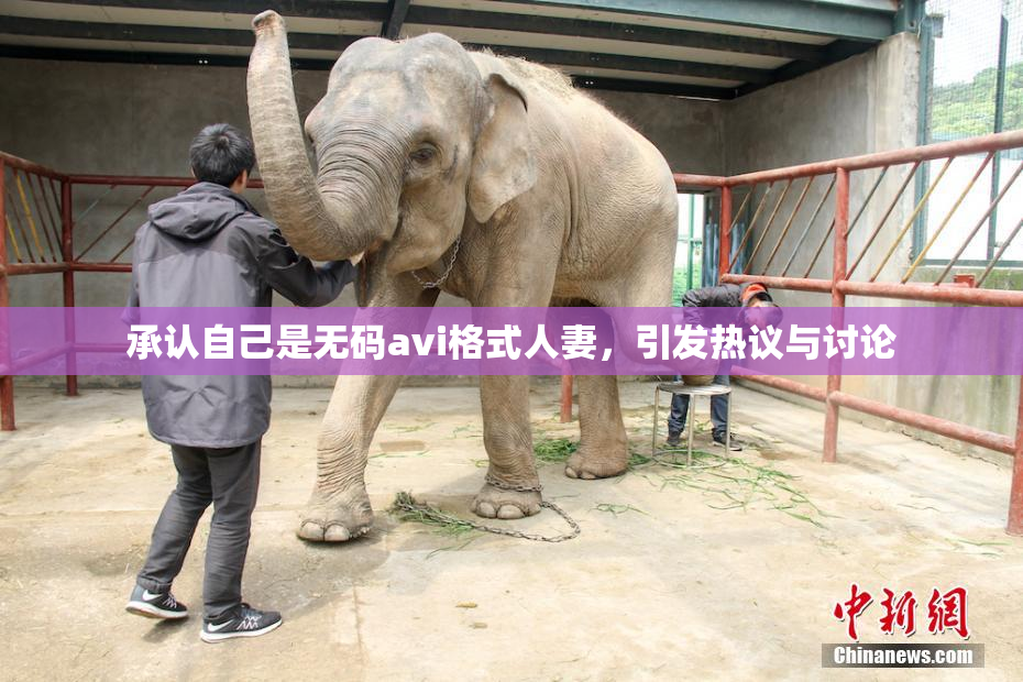 承认自己是无码avi格式人妻，引发热议与讨论