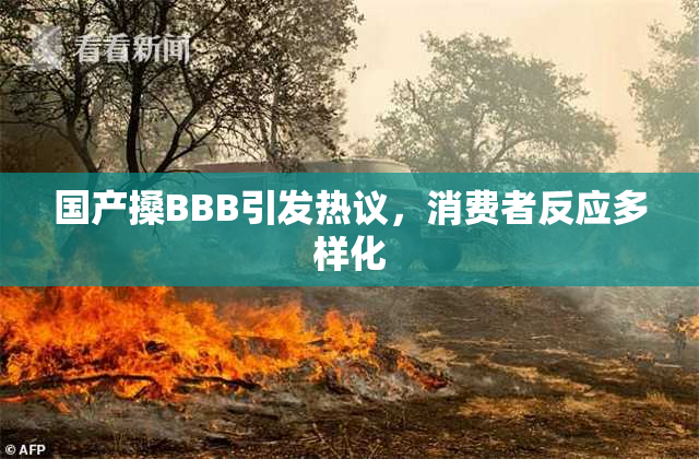 国产搡BBB引发热议，消费者反应多样化