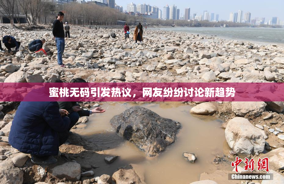 蜜桃无码引发热议，网友纷纷讨论新趋势