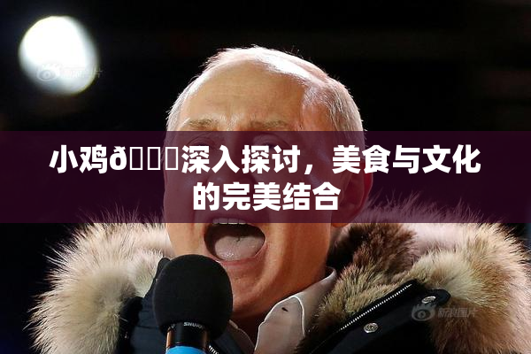 小鸡🐔深入探讨，美食与文化的完美结合