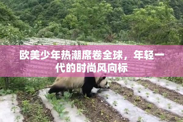 欧美少年热潮席卷全球，年轻一代的时尚风向标