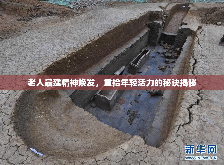 老人最建精神焕发，重拾年轻活力的秘诀揭秘