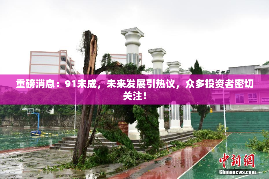 重磅消息：91未成，未来发展引热议，众多投资者密切关注！