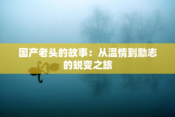 国产老头的故事：从温情到励志的蜕变之旅