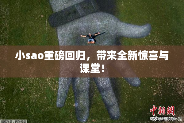 小sao重磅回归，带来全新惊喜与课堂！
