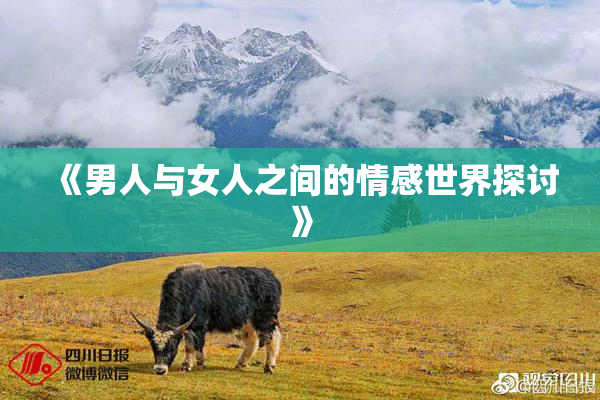 《男人与女人之间的情感世界探讨》