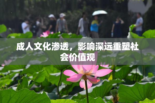 成人文化渗透，影响深远重塑社会价值观