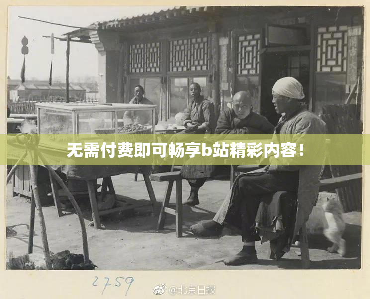 无需付费即可畅享b站精彩内容！