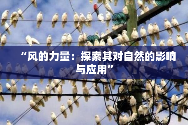 “风的力量：探索其对自然的影响与应用”