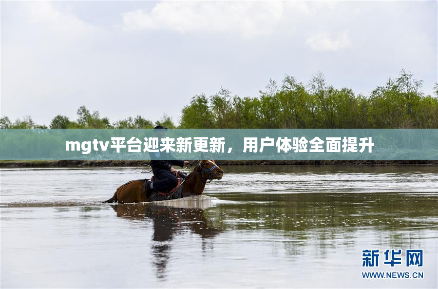 mgtv平台迎来新更新，用户体验全面提升