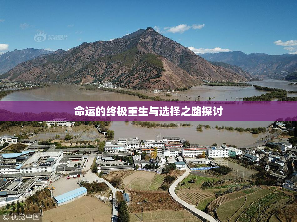 命运的终极重生与选择之路探讨