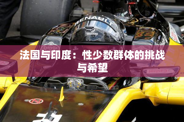 法国与印度：性少数群体的挑战与希望