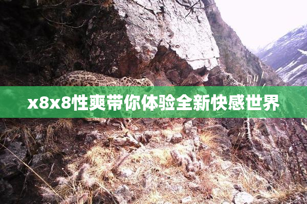 x8x8性爽带你体验全新快感世界