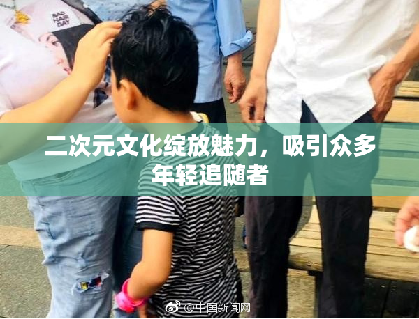 二次元文化绽放魅力，吸引众多年轻追随者