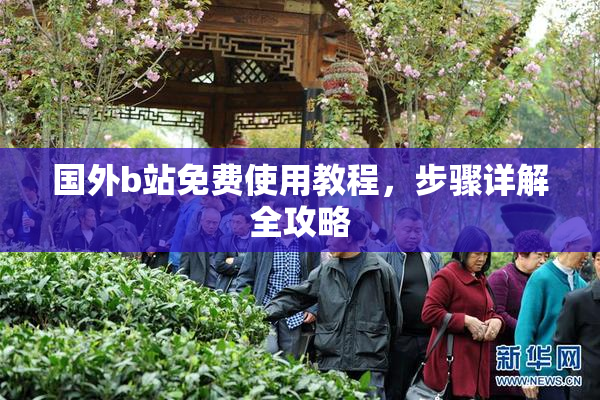 国外b站免费使用教程，步骤详解全攻略