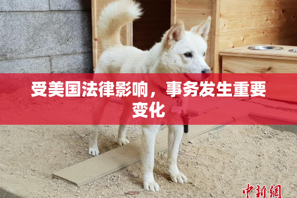 受美国法律影响，事务发生重要变化