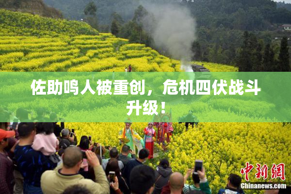 佐助鸣人被重创，危机四伏战斗升级！