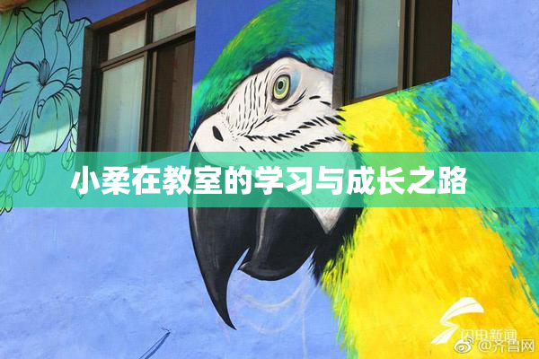 小柔在教室的学习与成长之路