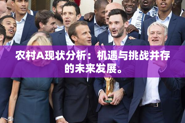 农村A现状分析：机遇与挑战并存的未来发展。