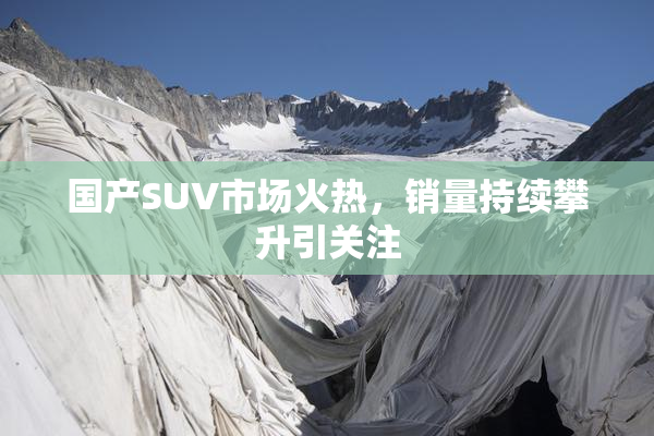 国产SUV市场火热，销量持续攀升引关注