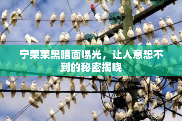 宁荣荣黑暗面曝光，让人意想不到的秘密揭晓
