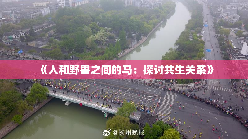 《人和野兽之间的马：探讨共生关系》