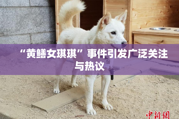 “黄鳝女琪琪”事件引发广泛关注与热议