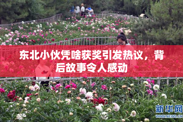 东北小伙凭啥获奖引发热议，背后故事令人感动