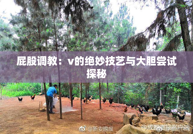 屁股调教：v的绝妙技艺与大胆尝试探秘