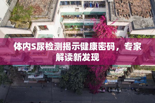 体内S尿检测揭示健康密码，专家解读新发现