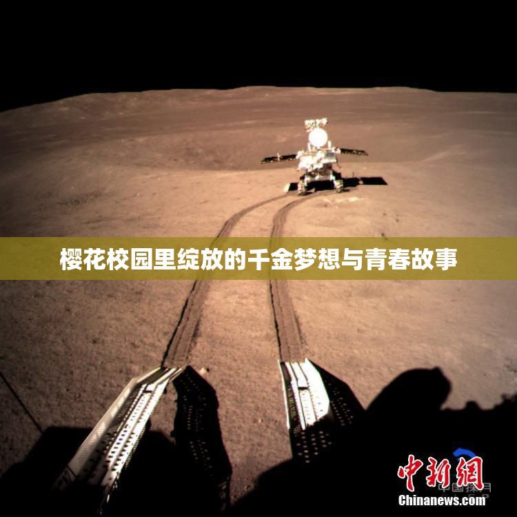 樱花校园里绽放的千金梦想与青春故事