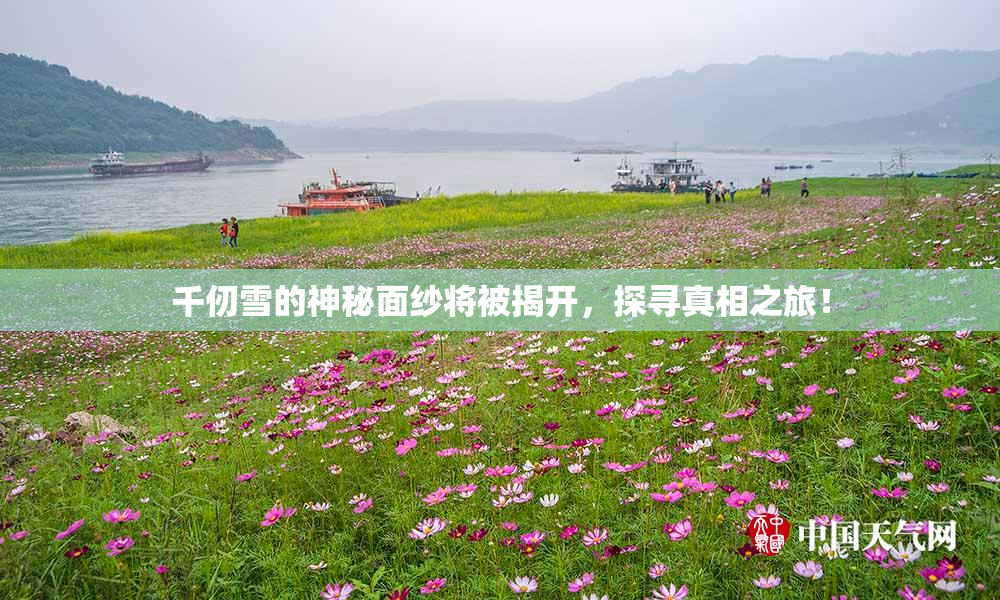 千仞雪的神秘面纱将被揭开，探寻真相之旅！
