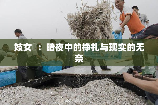 妓女梱：暗夜中的挣扎与现实的无奈