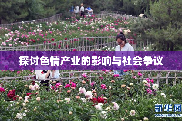 探讨色情产业的影响与社会争议