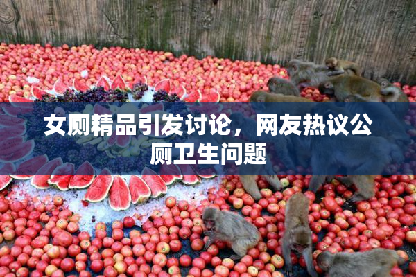 女厕精品引发讨论，网友热议公厕卫生问题