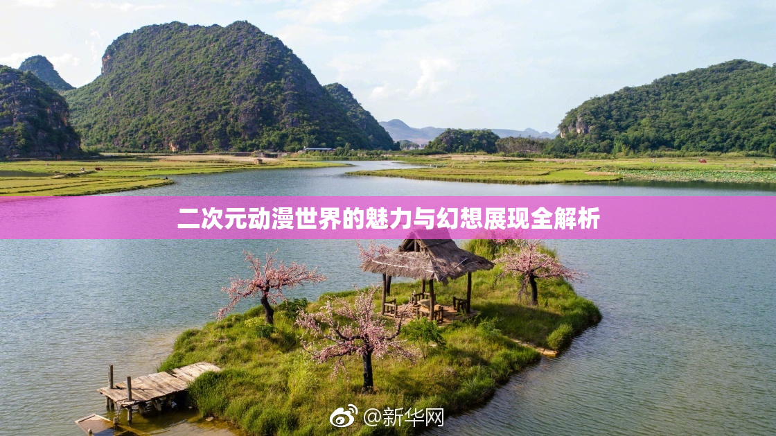 二次元动漫世界的魅力与幻想展现全解析