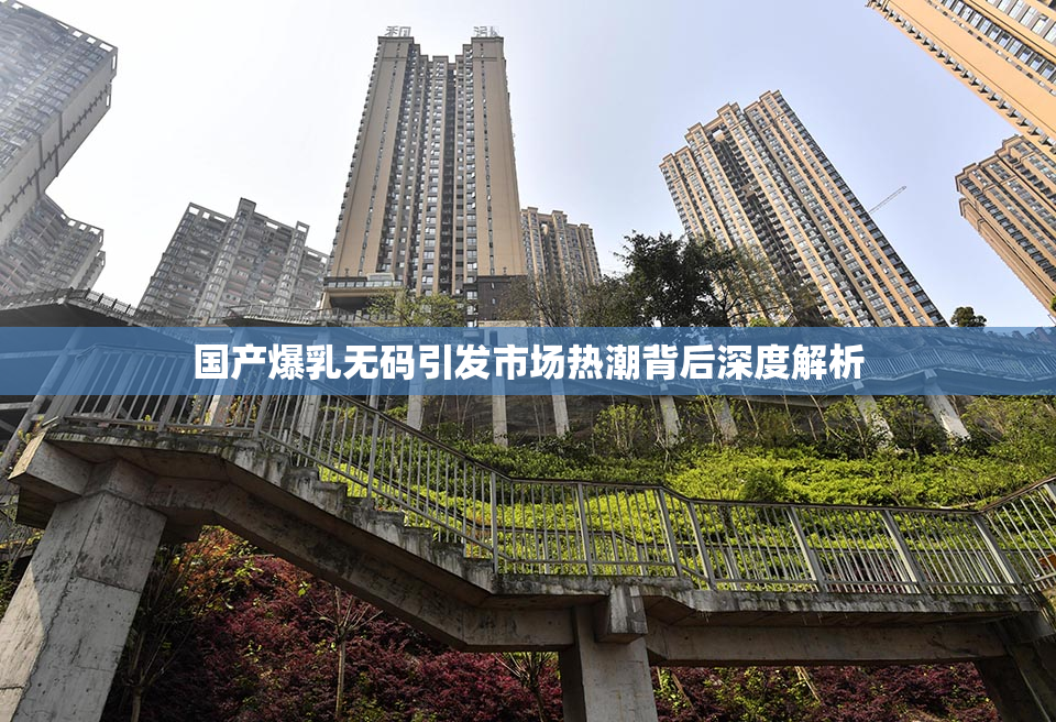 国产爆乳无码引发市场热潮背后深度解析