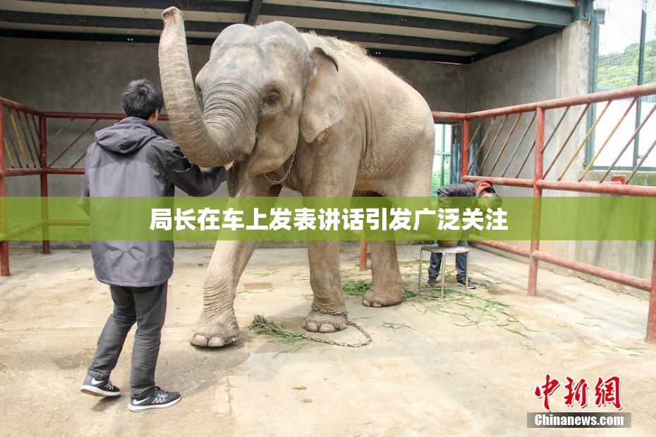 局长在车上发表讲话引发广泛关注