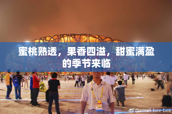 蜜桃熟透，果香四溢，甜蜜满盈的季节来临
