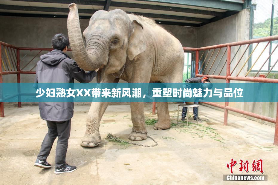 少妇熟女XX带来新风潮，重塑时尚魅力与品位