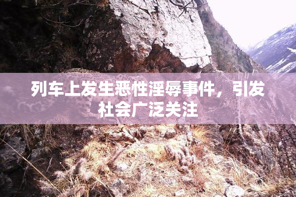 列车上发生恶性淫辱事件，引发社会广泛关注
