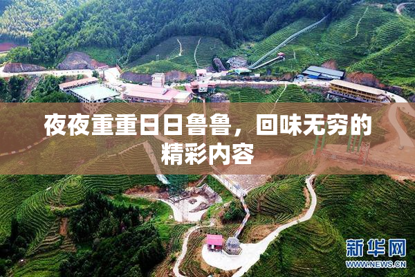 夜夜重重日日鲁鲁，回味无穷的精彩内容