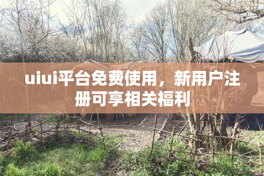uiui平台免费使用，新用户注册可享相关福利