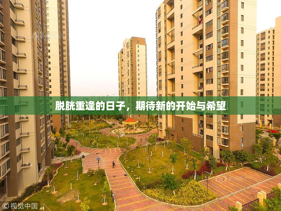 脱胱重逢的日子，期待新的开始与希望