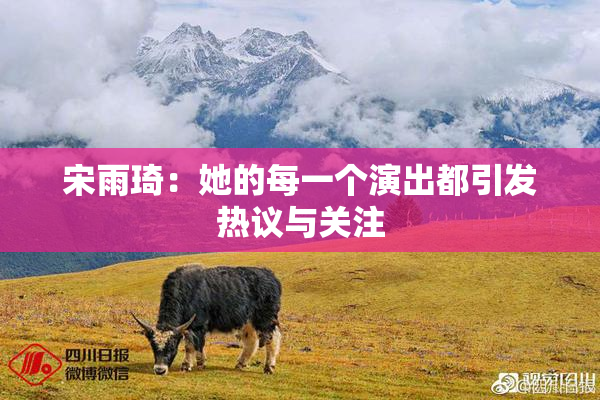 宋雨琦：她的每一个演出都引发热议与关注