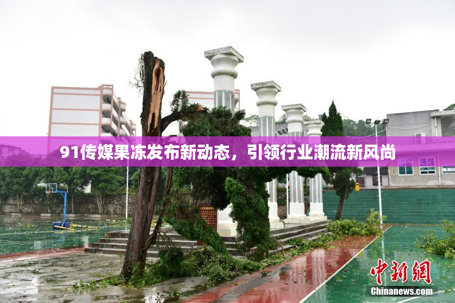 91传媒果冻发布新动态，引领行业潮流新风尚