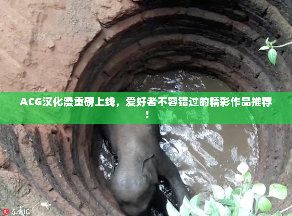 ACG汉化漫重磅上线，爱好者不容错过的精彩作品推荐！